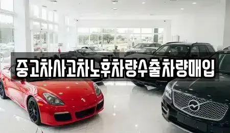 충북 제천시 서부동 중고차 전문 중고차사고차노후차량수출차량매입