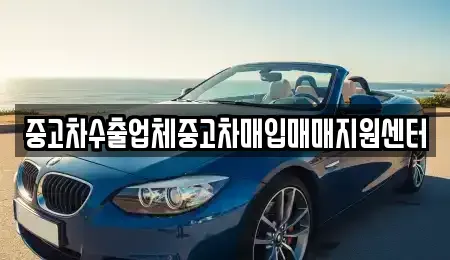 충북 제천시 서부동 중고차매입 전문 중고차수출업체중고차매입매매지원센터