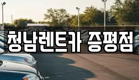 충북 진천군 초평면 렌트카 전문 청남렌트카 증평점