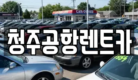 충북 청주시 청원구 정하동 렌트카 전문 청주공항렌트카