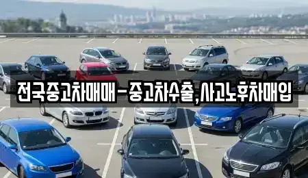 충북 청주시 청원구 정하동 중고차 전문 전국중고차매매-중고차수출,사고노후차매입