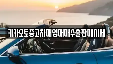 충북 청주시 청원구 정하동 중고차매입 전문 카카오토중고차매입매매수출판매시세