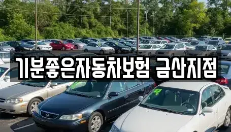 충청남도 금산군 남이면 렌트카 전문 기분좋은자동차보험 금산지점