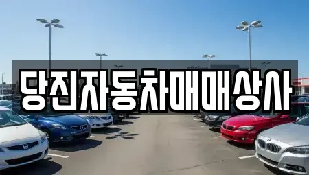 충청남도 당진시 원당동 중고차 전문 당진자동차매매상사