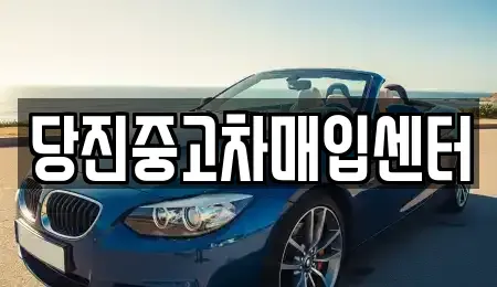 충청남도 당진시 원당동 중고차매입 전문 당진중고차매입센터