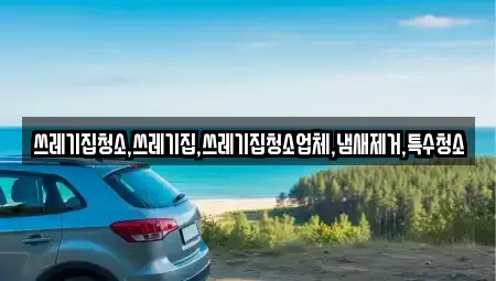 충청남도 당진시 원당동 중고차매입 전문 쓰레기집청소,쓰레기집,쓰레기집청소업체,냄새제거,특수청소