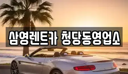 충청남도 천안시 동남구 구룡동 렌트카 전문 삼영렌트카 청당동영업소
