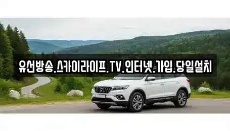 충청남도 천안시 동남구 구룡동 중고차매입 전문 유선방송.스카이라이프.TV.인터넷.가입.당일설치