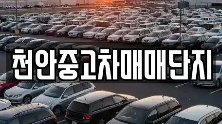 충청남도 천안시 동남구 영성동 중고차 전문 천안중고차매매단지