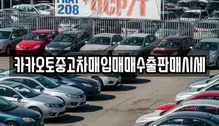 충청남도 천안시 동남구 영성동 중고차매입 전문 카카오토중고차매입매매수출판매시세