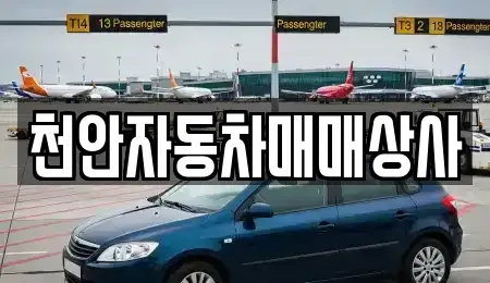 충청남도 천안시 서북구 신당동 중고차 전문 천안자동차매매상사