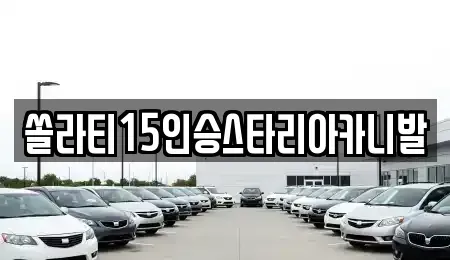 충청북도 단양군 어상천면 렌트카 전문 쏠라티15인승스타리아카니발