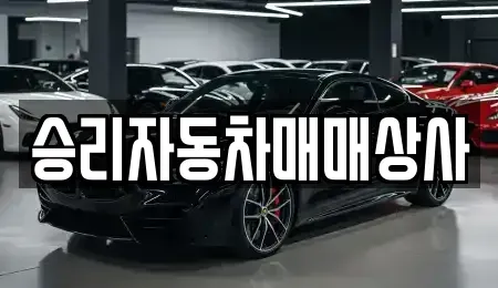 충청북도 제천시 모산동 중고차 전문 승리자동차매매상사