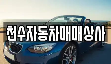 충청북도 제천시 모산동 중고차 전문 천수자동차매매상사