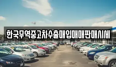 충청북도 제천시 모산동 중고차매입 전문 한국무역중고차수출매입매매판매시세