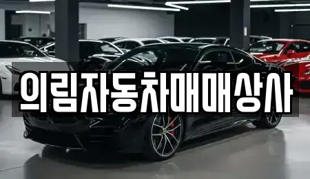 충청북도 제천시 흑석동 중고차매매 전문 의림자동차매매상사