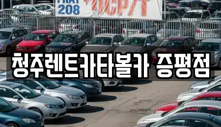 충청북도 증평군 렌트카 전문 청주렌트카타볼카 증평점
