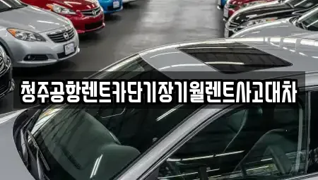 충청북도 청주시 서원구 장암동 렌트카 전문 청주공항렌트카단기장기월렌트사고대차
