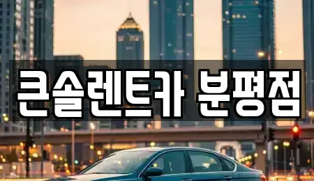충청북도 청주시 서원구 장암동 렌트카 전문 큰솔렌트카 분평점