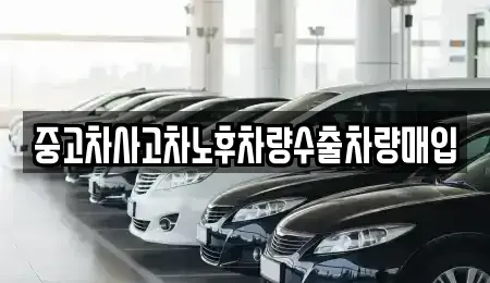 충청북도 청주시 서원구 장암동 중고차매입 전문 중고차사고차노후차량수출차량매입
