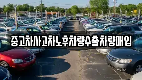 충청북도 충주시 직동 중고차매매 전문 중고차사고차노후차량수출차량매입